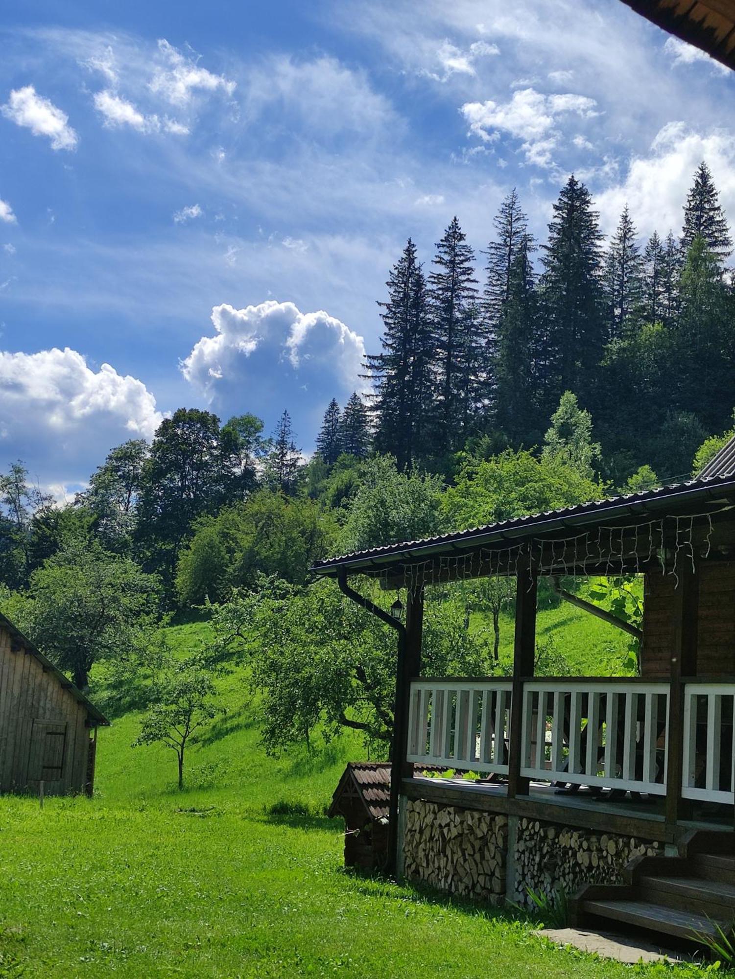Садиба Тарниця Krivorovnya Buitenkant foto